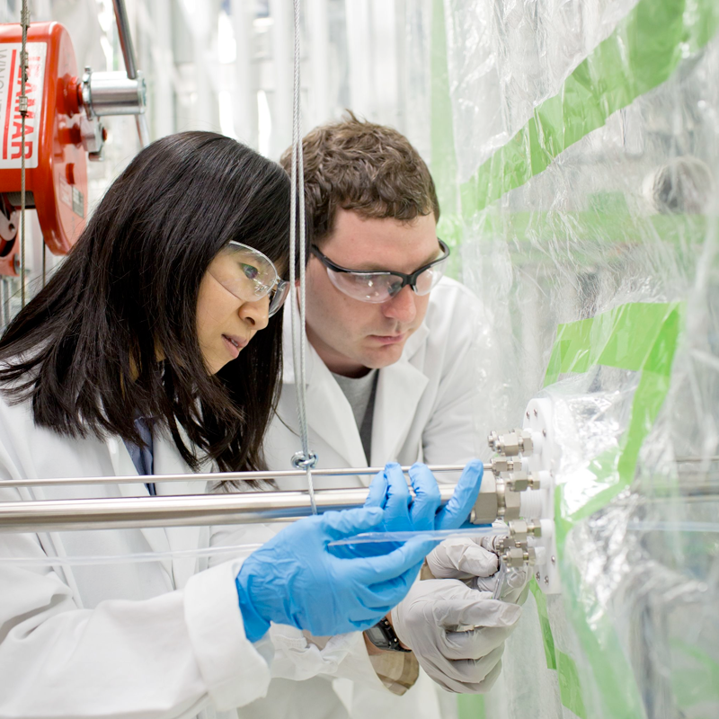 researchers working in lab
