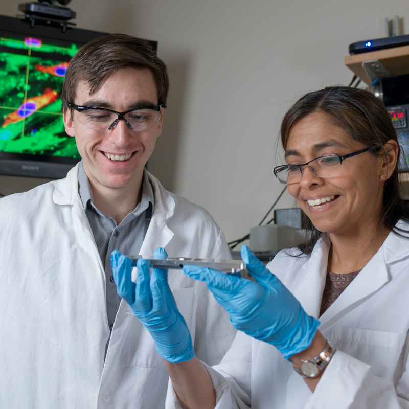 two researchers looking at viles