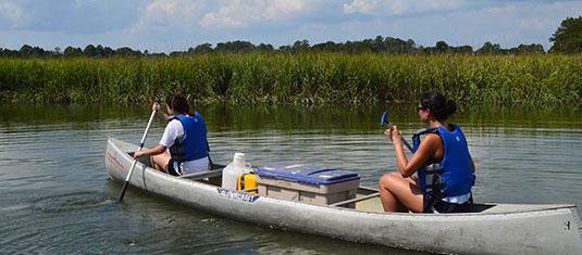 Two researchers paddle a canoe through a wetland, collecting water samples for environmental field research.