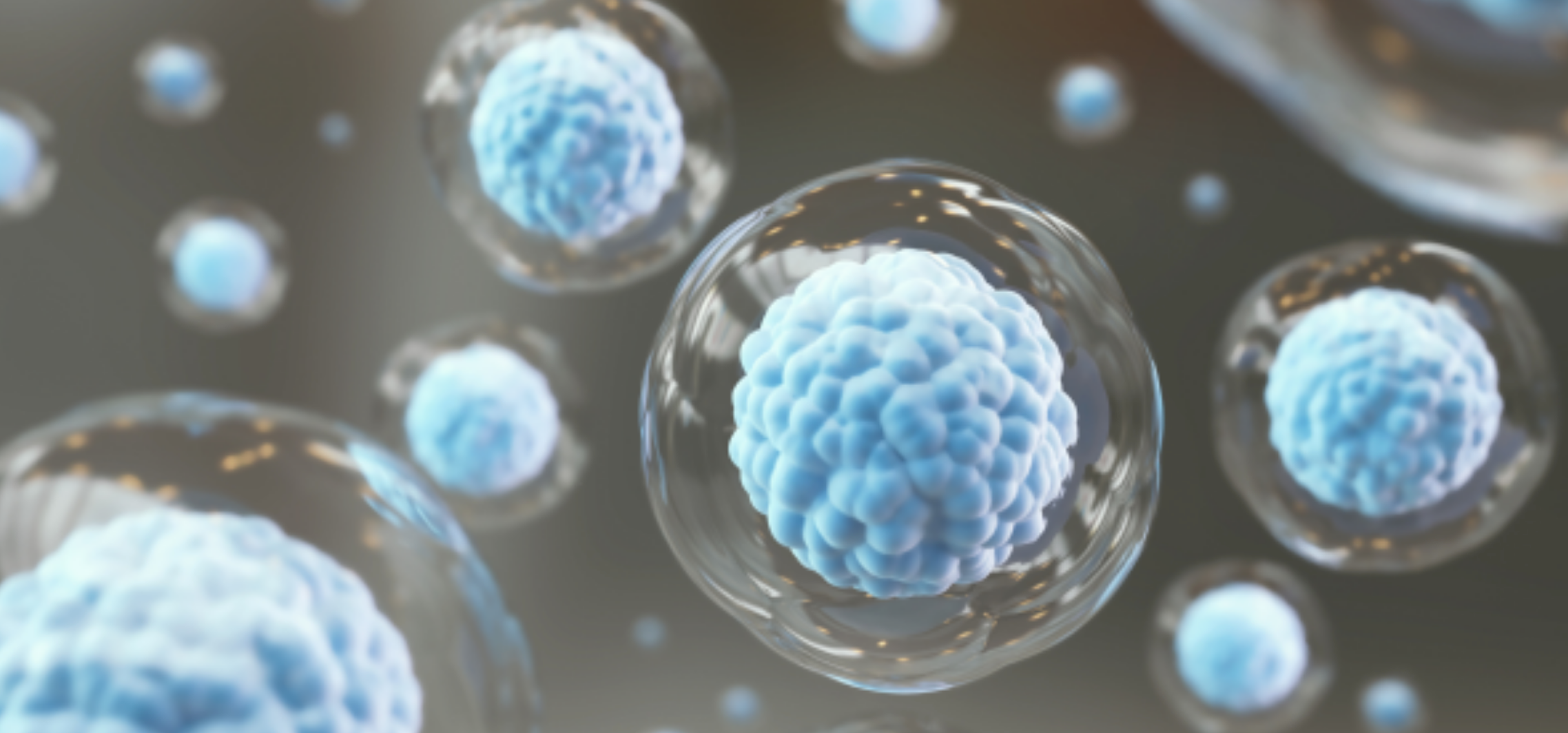 photo of cells with a force-field