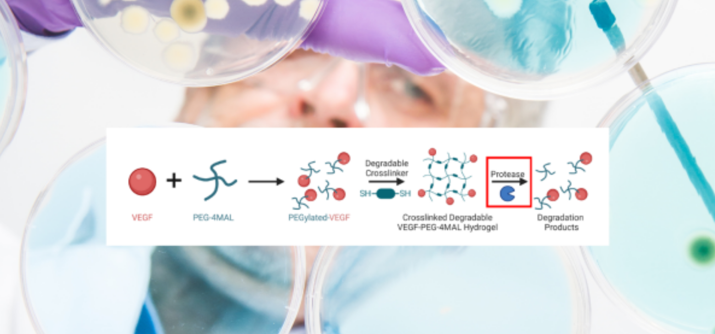image of a research with text and equation to represent science