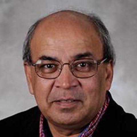 Ashok Goel's profile picture