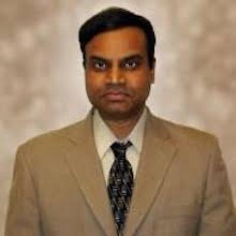 Vijay Madisetti's profile picture