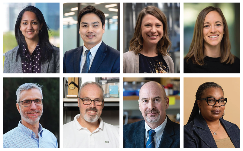 College Recognizes 8 Faculty Members with Excellence Awards