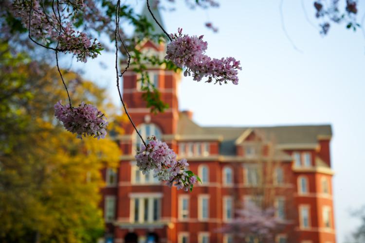 Flowers in front of Georgia Tech's Tech Tower