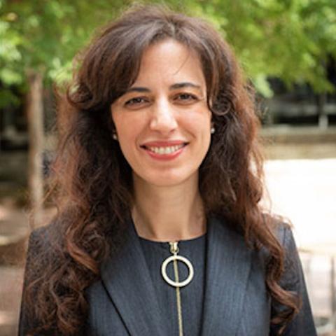 Dr. Pinar Keskinocak